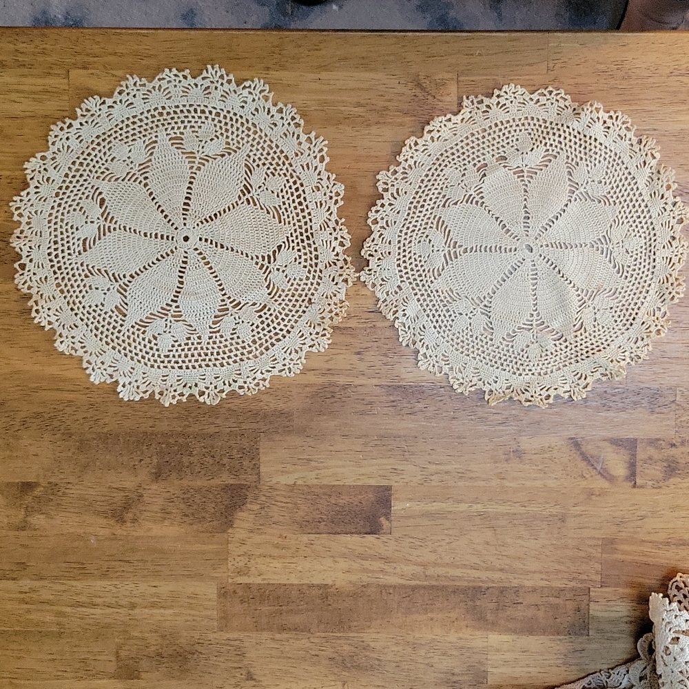 Set of 2 Vintage Hand Crocheted Doilies